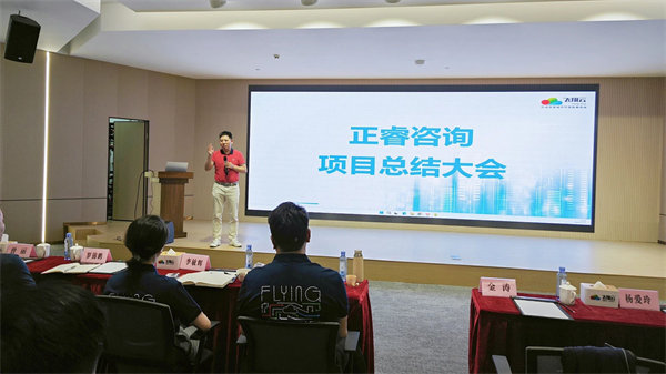 廣東飛翔云計算有限公司組織設(shè)計&人力資源管理升級項(xiàng)目圓滿成功
