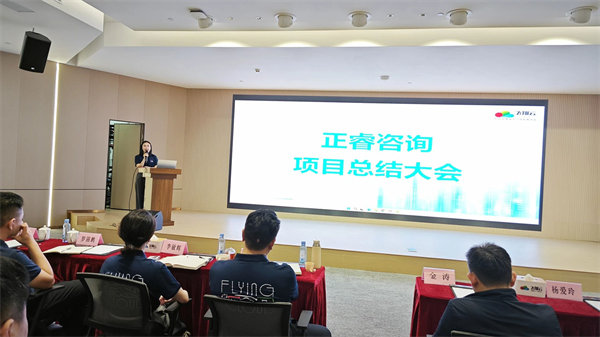 廣東飛翔云計算有限公司組織設(shè)計&人力資源管理升級項(xiàng)目圓滿成功