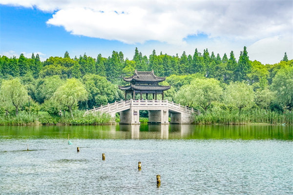 常州市場(chǎng)變化下，企業(yè)管理咨詢(xún)新趨勢(shì)是什么？