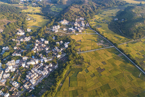 肇慶預(yù)算管理咨詢公司如何為企業(yè)構(gòu)建精細(xì)化的預(yù)算體系？