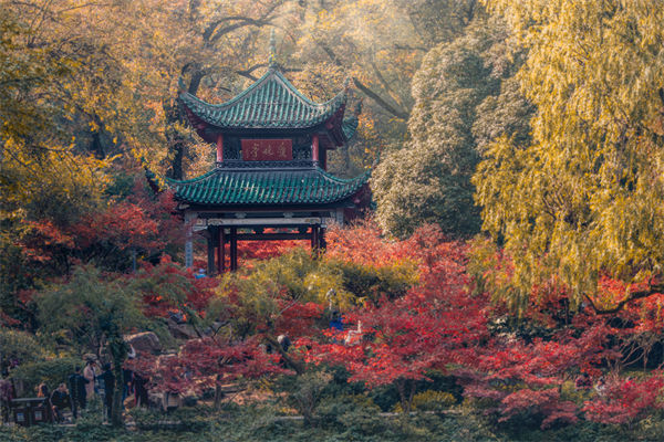 長沙薪酬咨詢公司如何設(shè)計(jì)合理的薪酬結(jié)構(gòu)與體系？