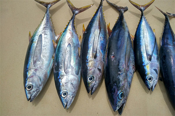 商務(wù)部：將幫助外貿(mào)企業(yè)擴(kuò)寬內(nèi)銷渠道，政策解讀！