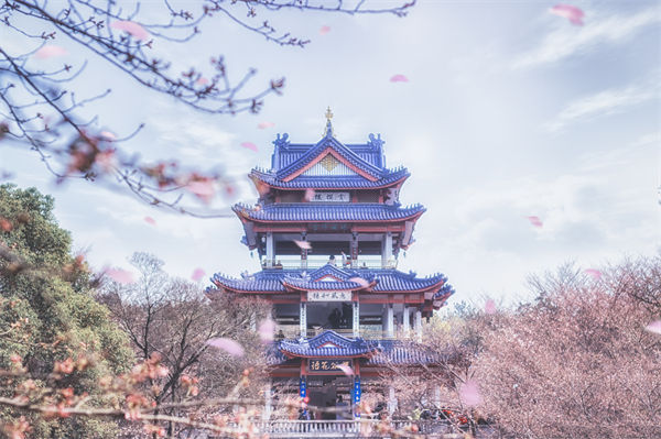 供應(yīng)鏈成本居高不下，無錫供應(yīng)鏈咨詢公司如何精準(zhǔn)砍出利潤空間？