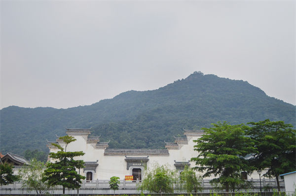 子公司各自為戰(zhàn)內(nèi)耗大，佛山集團(tuán)管控咨詢公司有何整合之道？