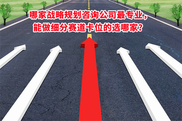 哪家戰(zhàn)略規(guī)劃咨詢公司最專業(yè)，能做細分賽道卡位的選哪家？