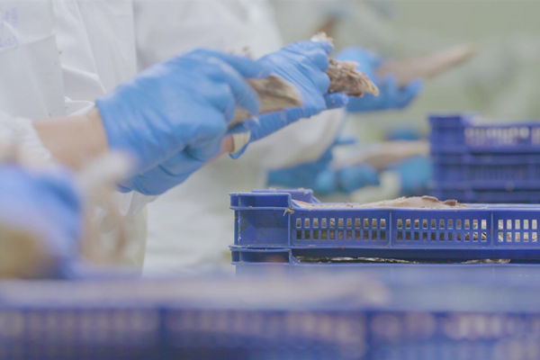 本土駐廠精益生產(chǎn)咨詢哪家強，能快速提升產(chǎn)線流轉(zhuǎn)效率么？