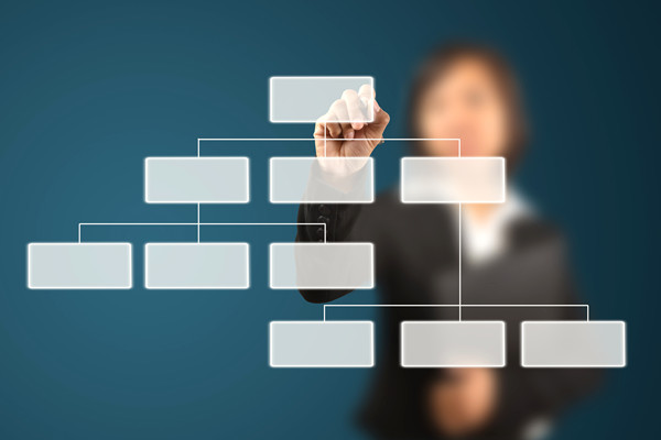 哪家組織規(guī)劃咨詢公司落地最好，能搭建適配發(fā)展的組織體系？